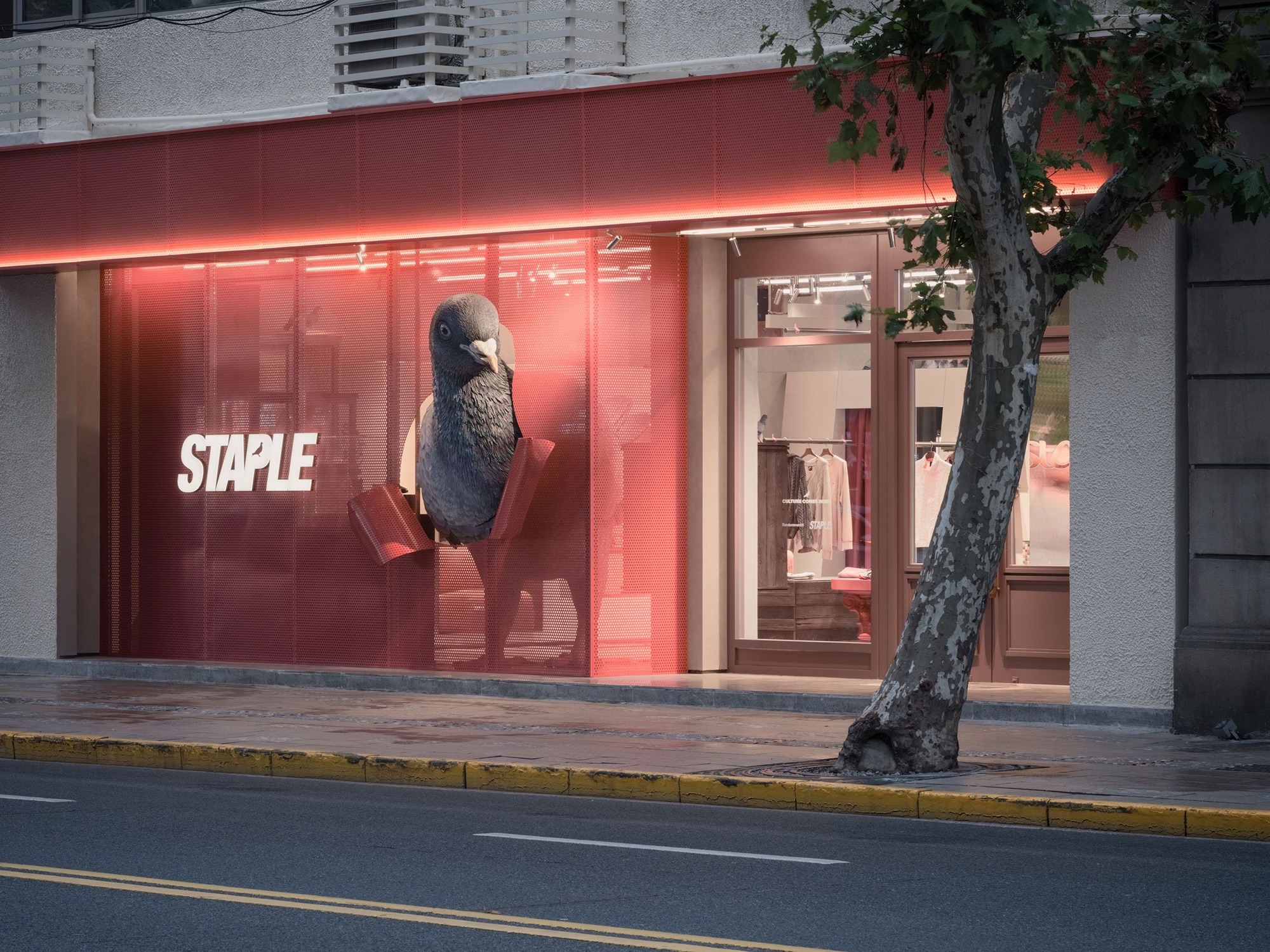 Há um pombo na sala!