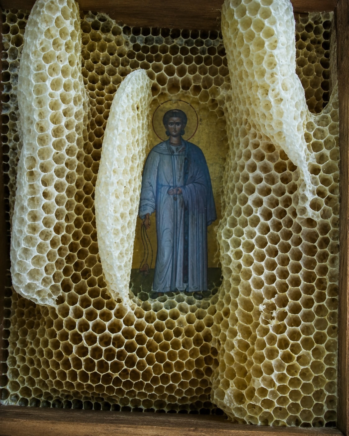 As abelhas também rezam? O fenómeno que intriga a Grécia